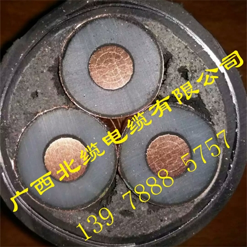 www.zmcc.net.cn