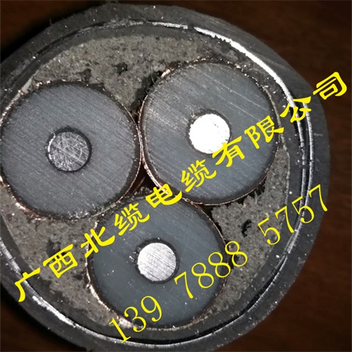 www.zmcc.net.cn