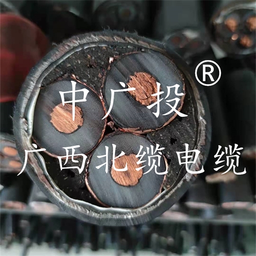 www.zmcc.net.cn