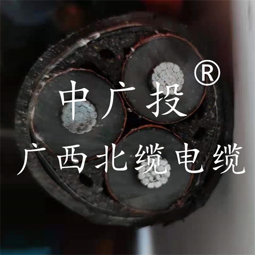 www.zmcc.net.cn