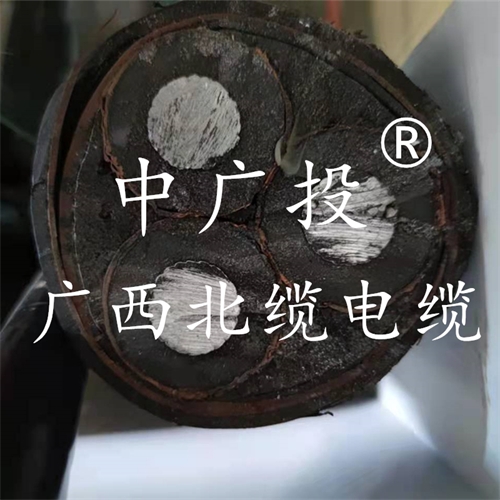 www.zmcc.net.cn