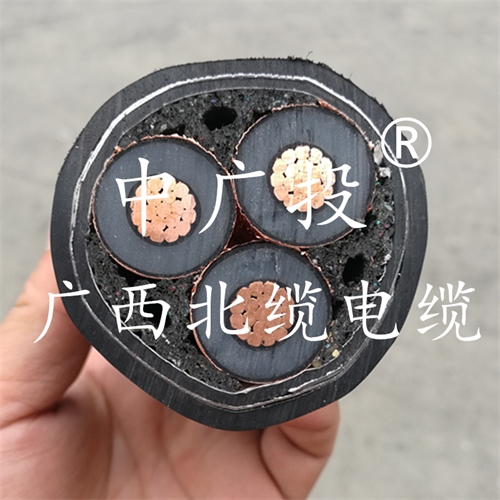 www.zmcc.net.cn