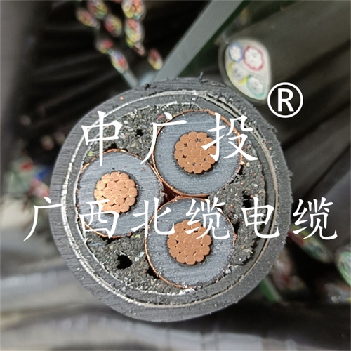 www.zmcc.net.cn