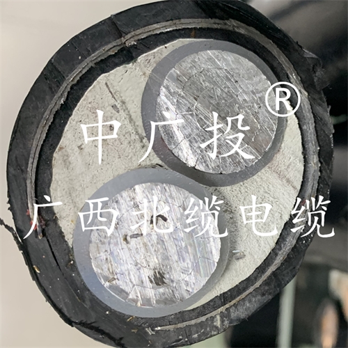 www.zmcc.net.cn