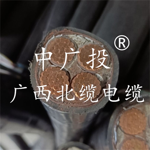 www.zmcc.net.cn