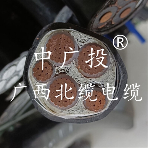 www.zmcc.net.cn