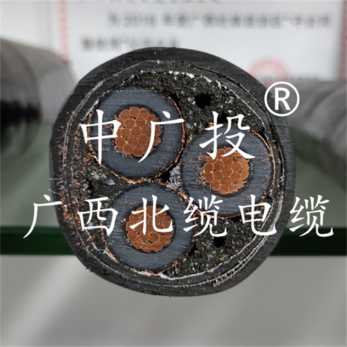 www.zmcc.net.cn