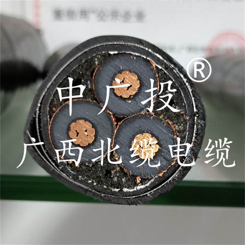 www.zmcc.net.cn
