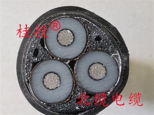 www.zmcc.net.cn