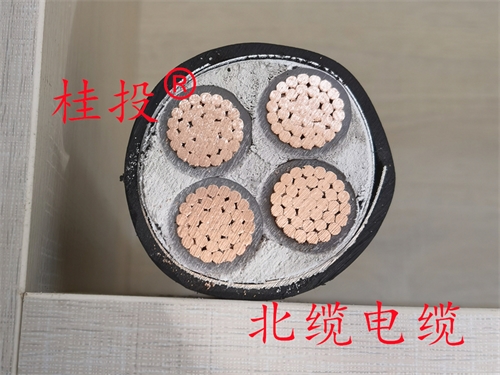 www.zmcc.net.cn