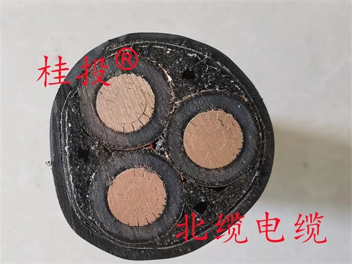 www.zmcc.net.cn