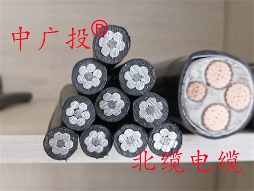 www.zmcc.net.cn